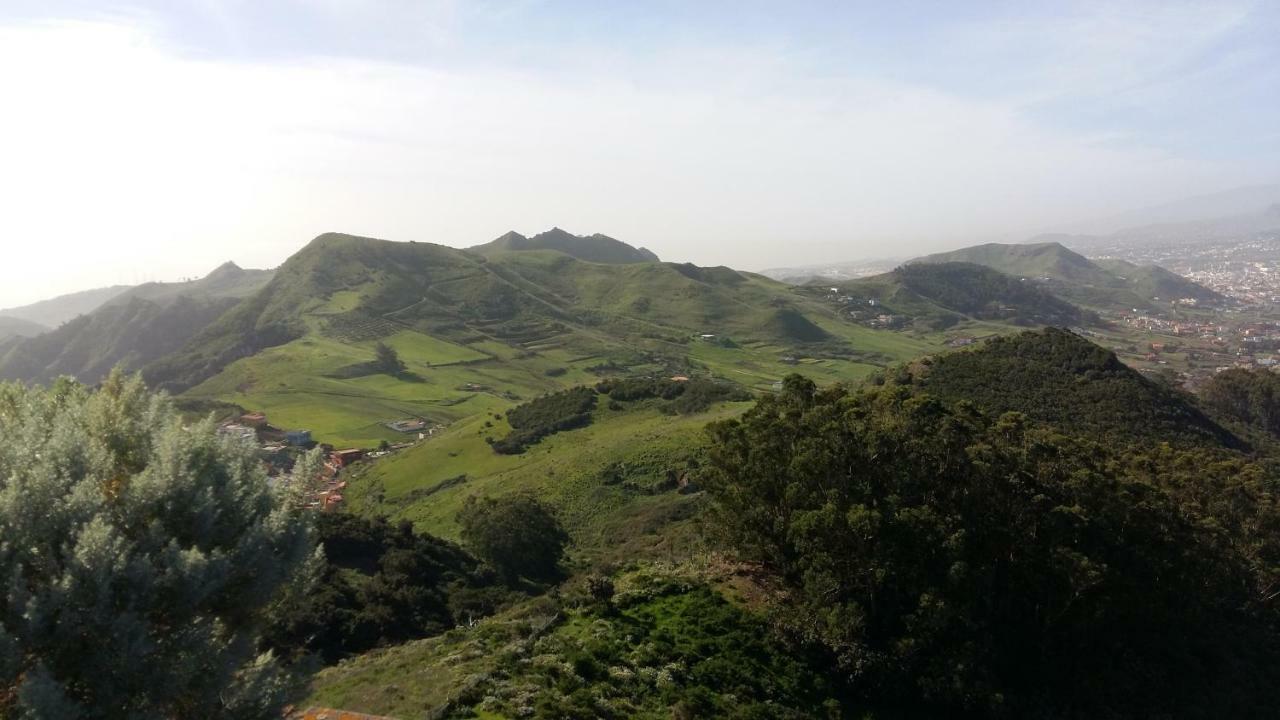 Estudio Los Molinos Сан-Кристобаль-де-Ла-Лагуна Экстерьер фото